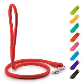 Rolled Leather Dog Leash 4Ft x 0.3 in for Small Medium Dogs Heavy Duty Leather Puppy Leash for Outdoor Walking Running Training Strong Dog Leashes for