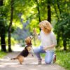 29.5FT Dog Tie Out Cable Long Dog Leash Chew Proof Lead Dog Chain with Durable Spring 360Â° Rotatable Clips PVC Case for Outside Yard Caming
