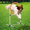 PawHut Dog Agility Training Jump Ring Tire Hoop Set Hurdle Bar Speed Equipment White Orange