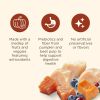 Everyday Immune Support Chicken, Salmon, Blueberry & Pumpkin Recipe Dry Dog Food, 26lb Bag