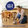 Triple Steak Flavor Dry High Protein Dog Food 40 lb Bag