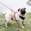 29.5FT Dog Tie Out Cable Long Dog Leash Chew Proof Lead Dog Chain with Durable Spring 360Â° Rotatable Clips PVC Case for Outside Yard Caming
