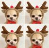 Chrimas Dog Winter Warm Clothing Cute Plush Coat Hoodies Pet Costume Jacket For Puppy Cat French Bulldog Chihuahua Small Dog Clothing