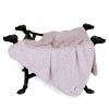Paris Dog Blankets